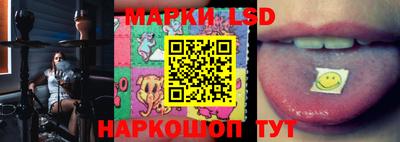 крисы Новодвинск