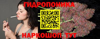 крисы Новодвинск