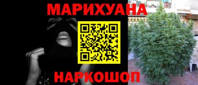 крисы Новодвинск