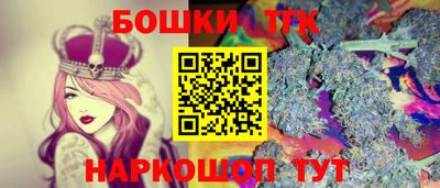 крисы Новодвинск