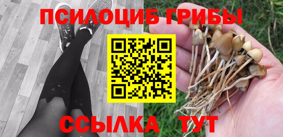 Галлюциногенные грибы мухоморы Трёхгорный